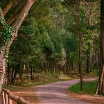 شقة Brasil Avenue By Rent4all فيغيورا دا فوز