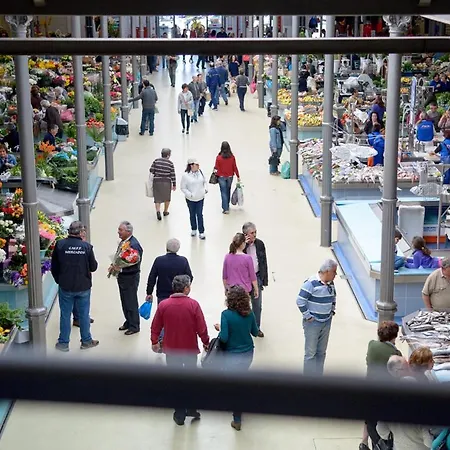 Brasil Avenue By Rent4all