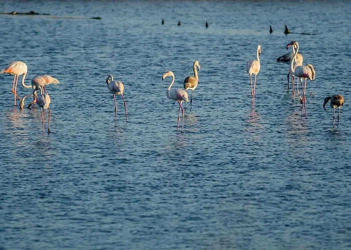 Апартаменты Brasil Avenue By Rent4all *