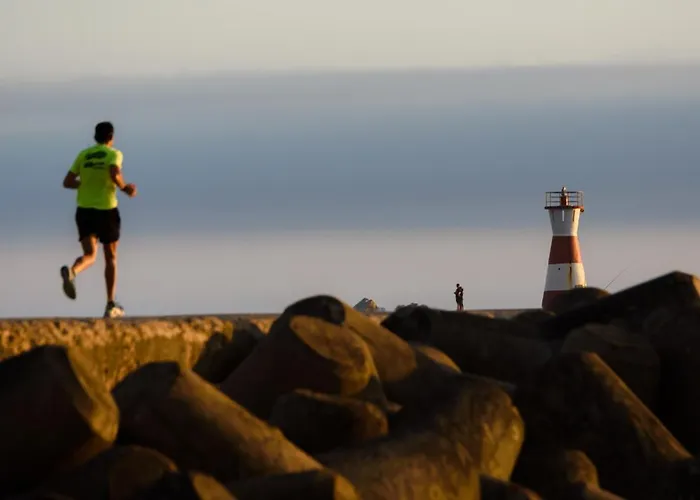 Brasil Avenue By Rent4all * Фигейра-да-Фош